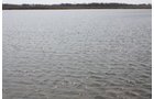 Property photo 14 - 194.67 Acres Offered in 2 Tracts